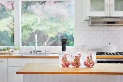 Anova Sous Vide Precision Cooker Pro -Kitchen Serie Store AnovaPro CambroSteaks C 2