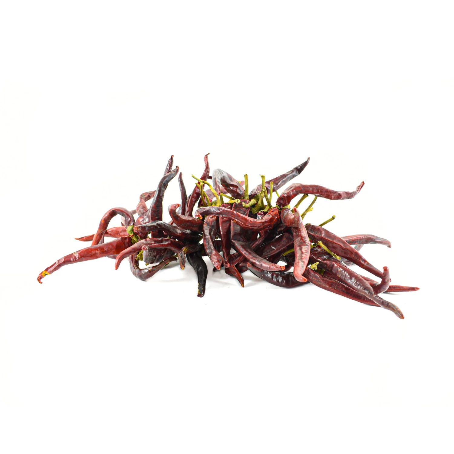 Guindilla Pepper Ristra - String Of 50 5 Guindilla Pepper Ristra - String Of 50 - Image 3