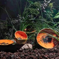 Bordallo Pinheiro Tropical Fruits Papaya Serving Platter, 35x23cm -Kitchen Serie Store DC0207BordalloPinheiroTropicalFruitsServingPlatter PapayaLifestyle 1