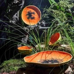 Bordallo Pinheiro Tropical Fruits Papaya Serving Platter, 35x23cm -Kitchen Serie Store DC0207BordalloPinheiroTropicalFruitsServingPlatter Papayalifestyle 2