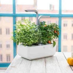 Veritable Classic Indoor Herb Garden 13 Veritable Classic Indoor Herb Garden -Kitchen Serie Store HU0007VeritableClassicIndoorHerbGardenlifestyle1