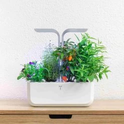 Veritable Classic Indoor Herb Garden 12 Veritable Classic Indoor Herb Garden -Kitchen Serie Store HU0007VeritableClassicIndoorHerbGardenlifestyle2
