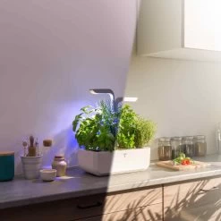 Veritable Classic Indoor Herb Garden 11 Veritable Classic Indoor Herb Garden -Kitchen Serie Store HU0007VeritableClassicIndoorHerbGardenlifestyle3