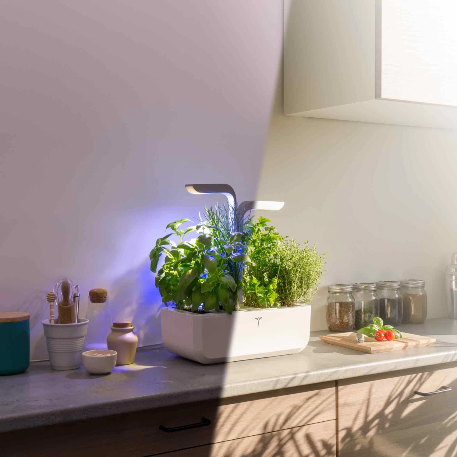 Veritable Classic Indoor Herb Garden 6 Veritable Classic Indoor Herb Garden - Image 4