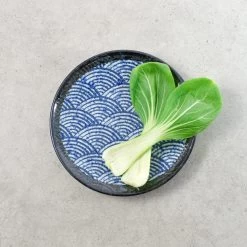 Blue Wave Medium Plate 22cm