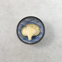 Blue Wave Noodle Bowl