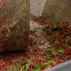 Galantino Puglian Olive Oil With Chilli In Terracotta Bottle 250ml -Kitchen Serie Store chillioliveoil5