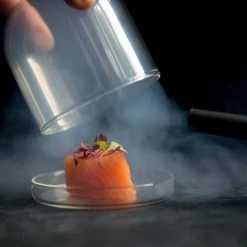 Sage Smoking Gun -Kitchen Serie Store salmon cloche gun 3